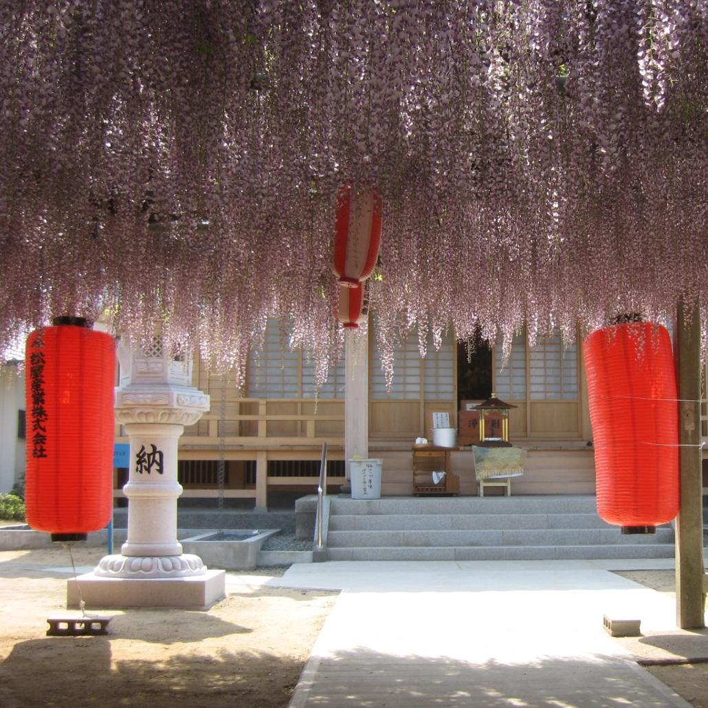 浄光寺の画像