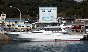 宝栄丸(海上タクシー)の画像